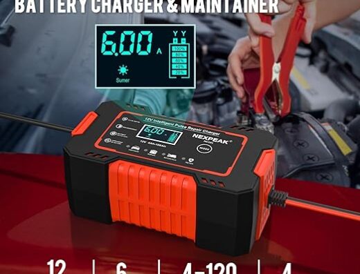 Battery Charger – Value deal (fresh photos)