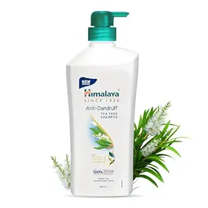 Home 22 Himalaya Anti-Dandruff Shampoo – Himalaya Anti-Dandruff Shampoo 400ml – Ready to Hand Over